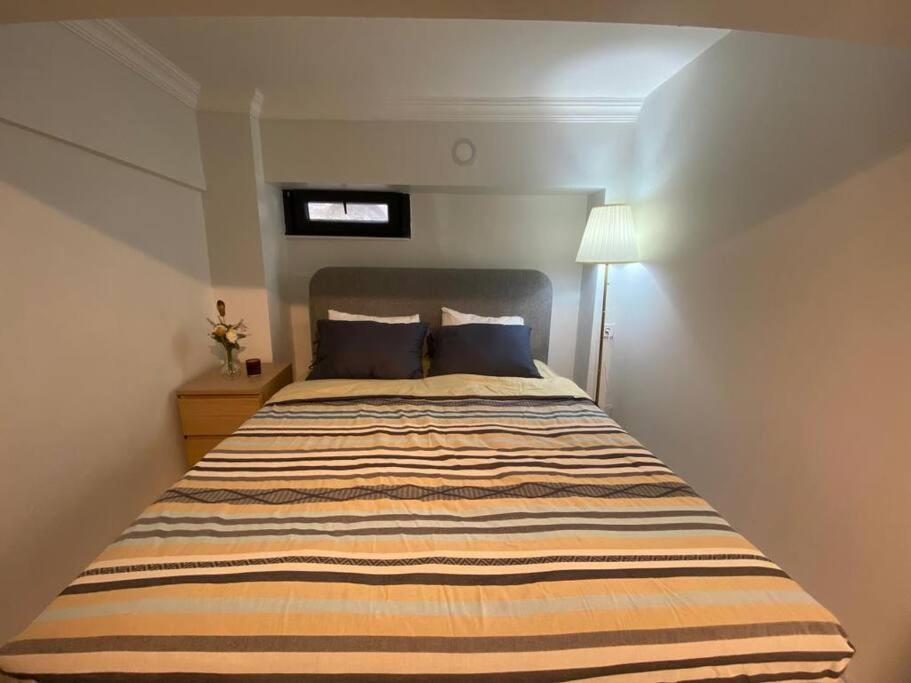 Renovated 2br Near Metro Daire